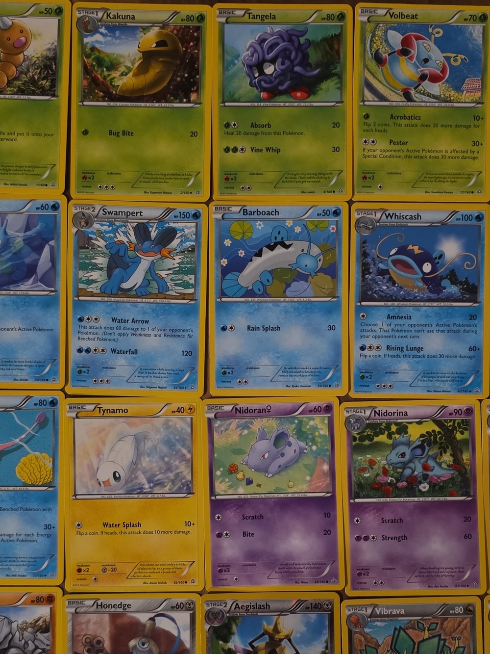 Pokemon TCG XY—Primal Clash 24 Cards English 2015